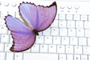 Writing Butterfly